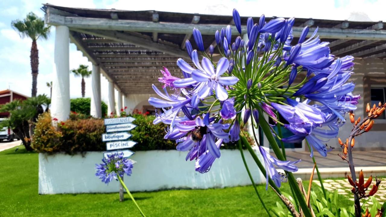 פוצאלו Blue Marine Apartment מראה חיצוני תמונה